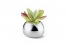 VI 202004_BELLA_Vase_deco_RGB_120x65.jpg
