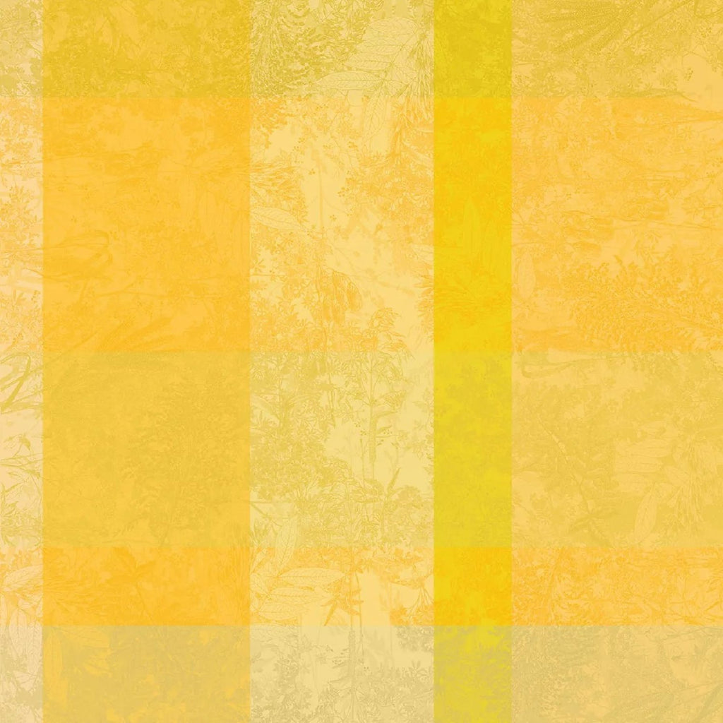 523808