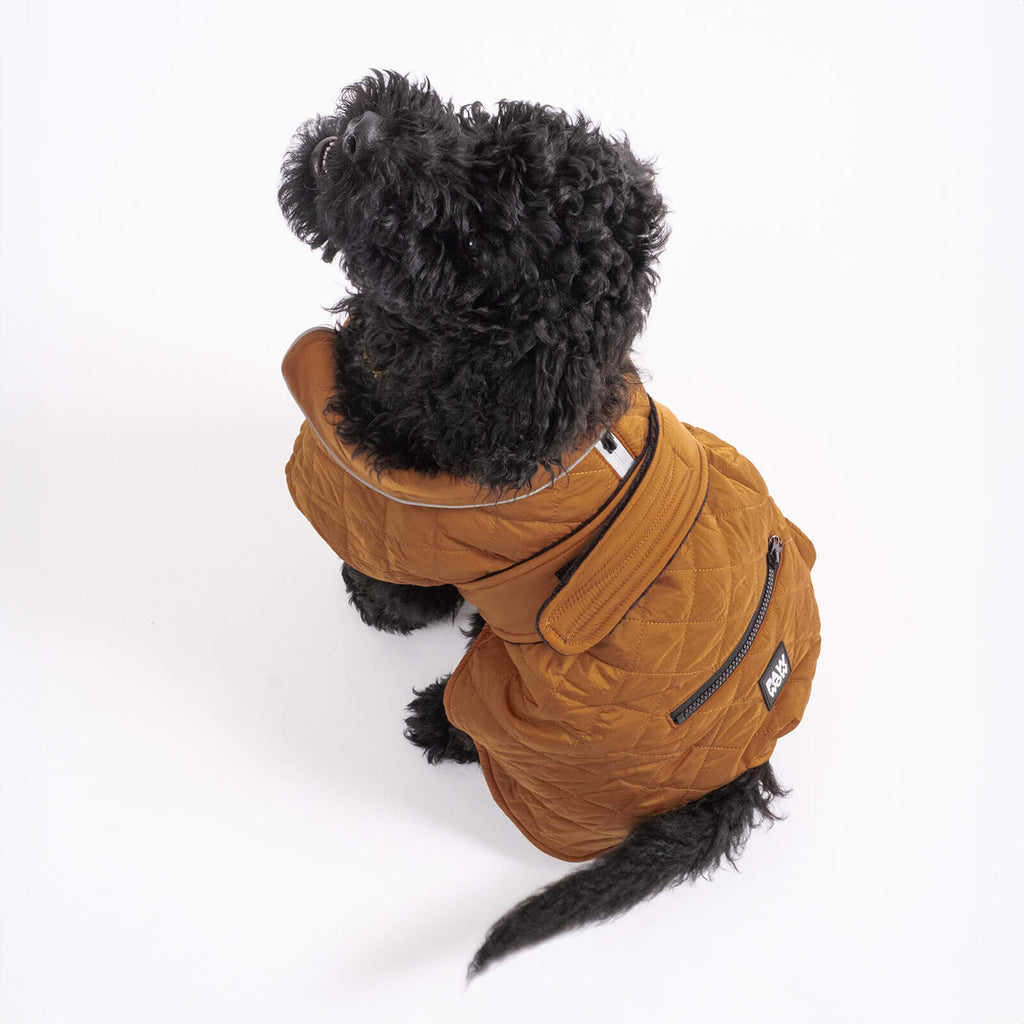 Firtz-Hundejacke