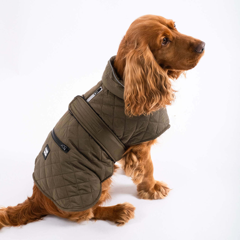 Hundejacke FRITZ Olive