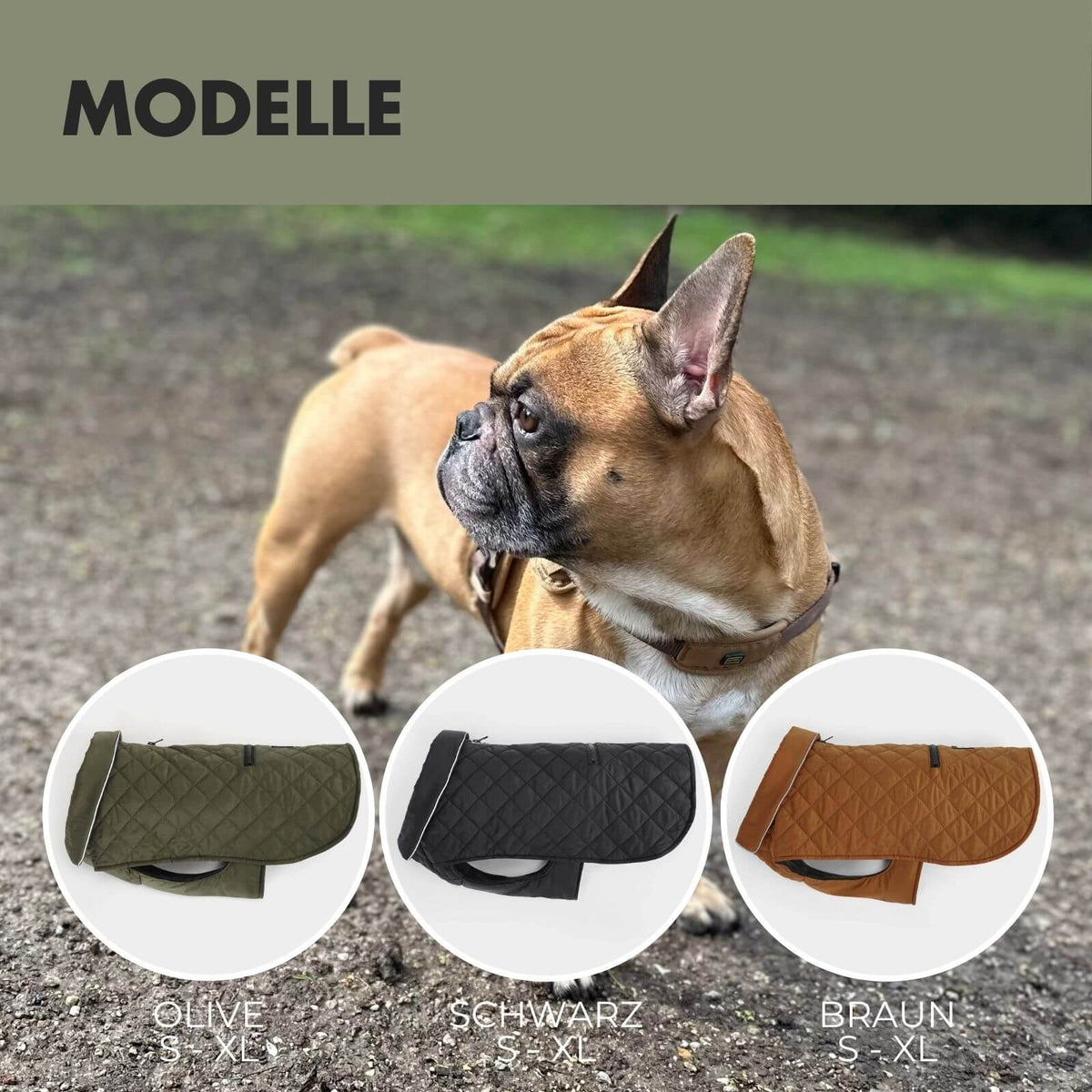Hundejacke FRITZ Olive