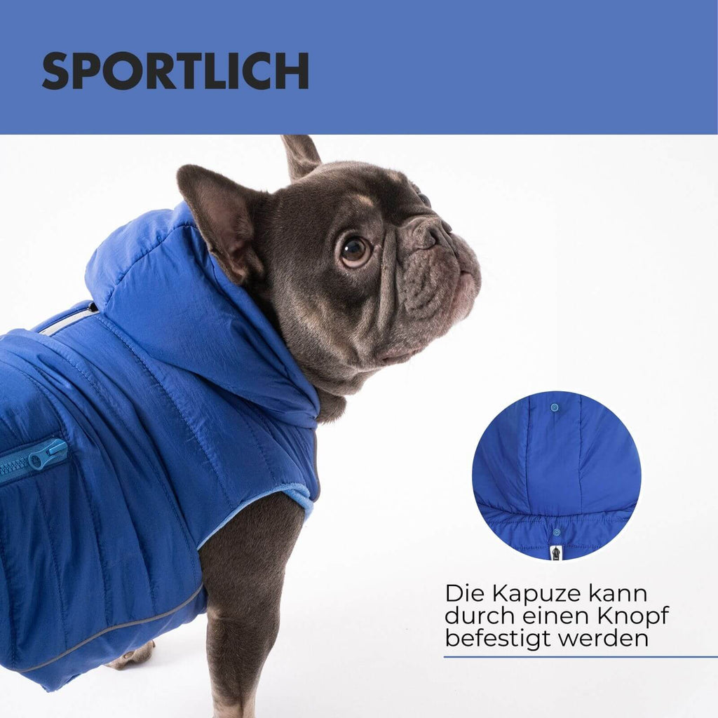 Hundejacke IMMI Blau