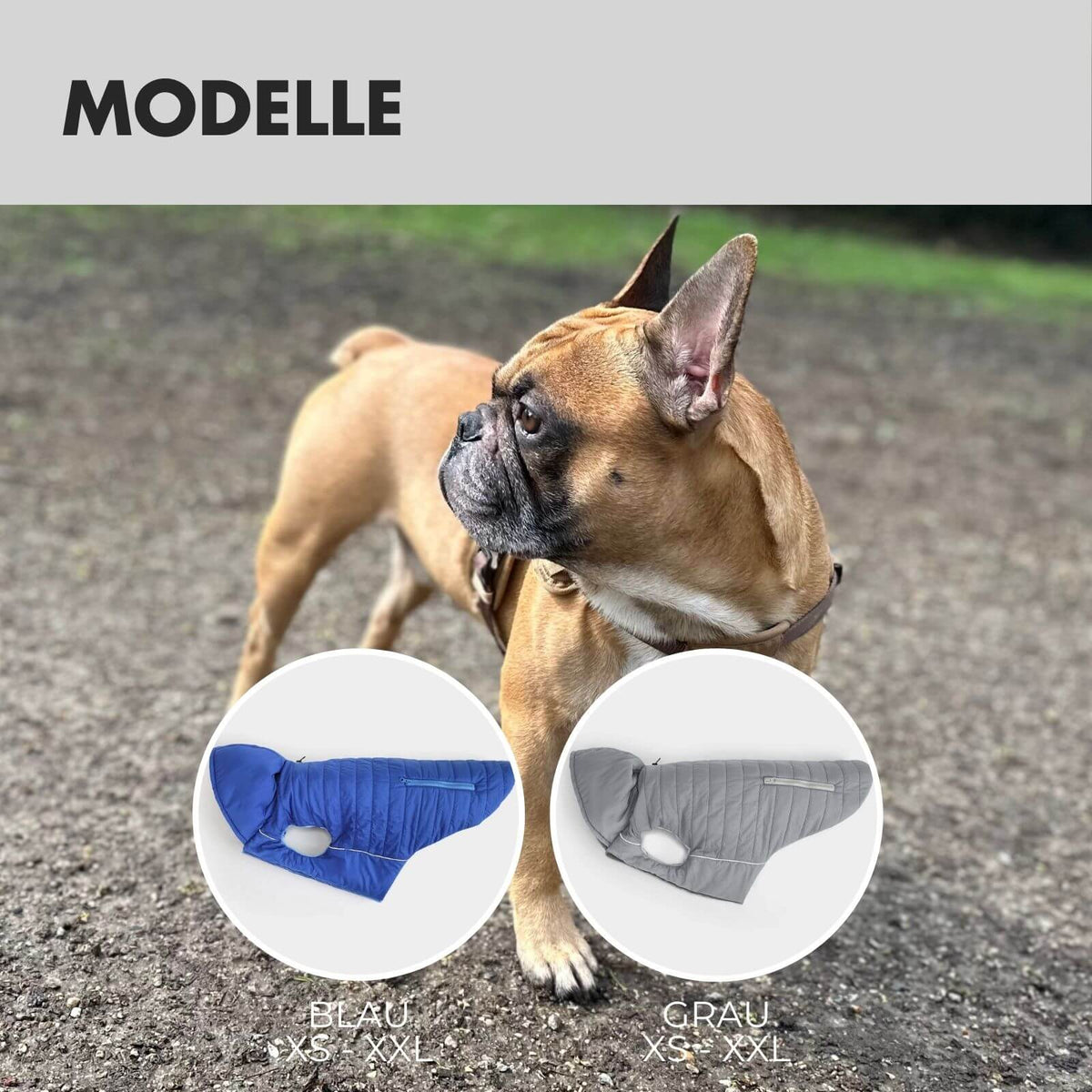 Hundejacke IMMI Grau