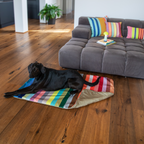 Remember Ronja Hundedecke